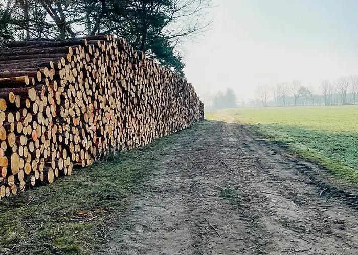 Charming Forest House Near Lueneburg Heath *